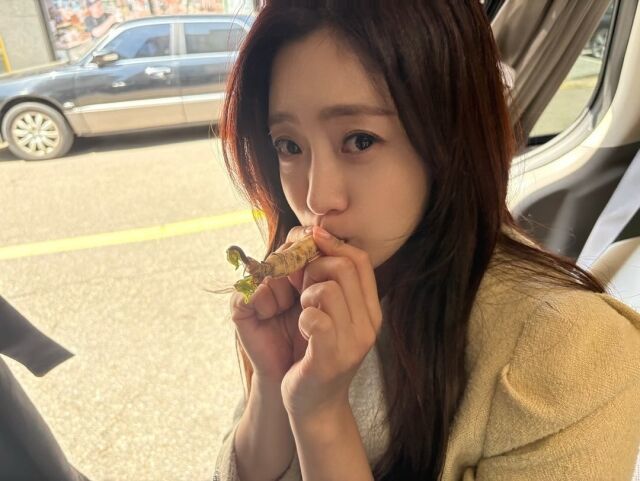 11월 결혼 함은정 