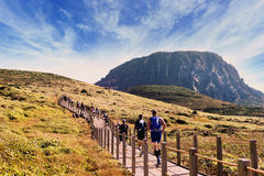 러닝 열풍에 무릎통증 호소…"안 다치려면 이렇게 해요"