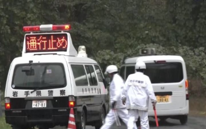 日 유명 온천서 곰 습격…프로레슬링 '전설' 심판 숨져