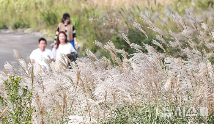 인천탐정사무소 서울탐정사무소 – 대구·경북, 흐리다 차차 맑아짐…아침 10도·한낮 21도 