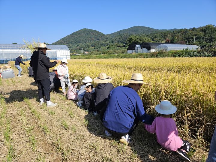 거제 30인의 아빠단, 벼 수확 체험으로 가족 사랑 키워