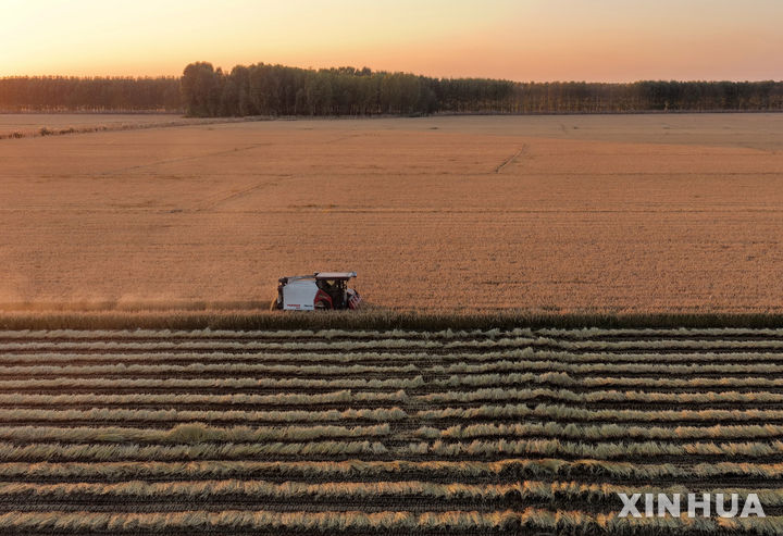 중국, 올해 곡물 7.14억 t 생산 최대기록…1.2% 증가