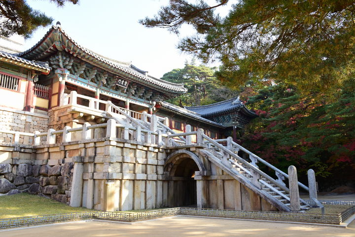총무원장 진우스님, '문화 외교' …불국사서 APEC정상 배우자들에 한국 불교문화 알린다