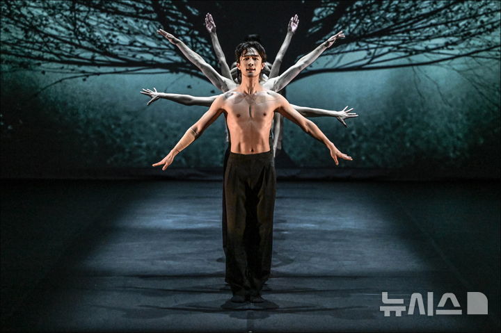 춤으로 피어난 보쏘…허용순의 '언더더 트리즈 보이시즈' 춤으로 피어난 보쏘…허용순의 '언더더 트리즈 보이시즈'