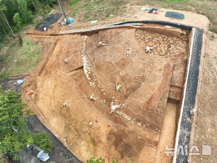 경남 고성 송학동 고분군 14호분, 가야권역 최대 규모 확인 경남 고성 송학동 고분군 14호분, 가야권역 최대 규모 확인