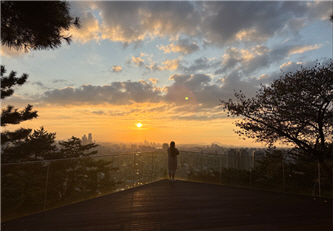 무장애 산책로 '남산 하늘숲길' 인기…숨은 명소 어디?