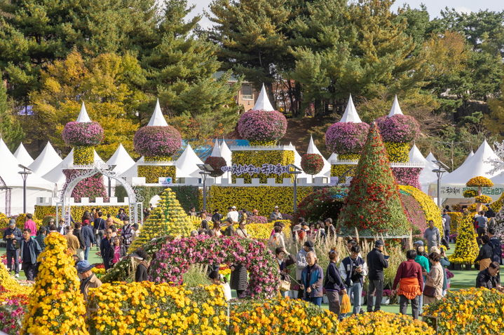 익산 천만송이 국화축제에 76만명 참여…가을 대표 축제 입증
