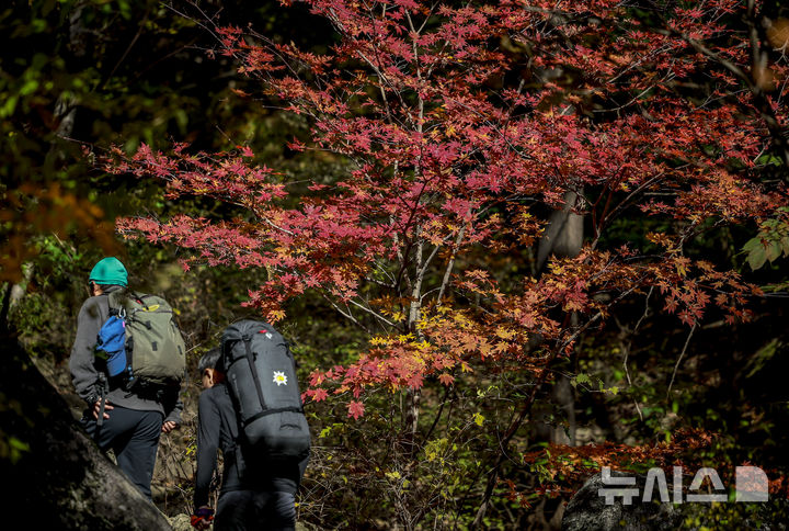 출장용접 – 인천, 오전 흐리고 예년보다 포근…오후부터 찬바람  