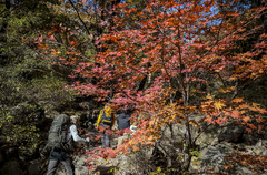 국립공원 탐방객 소비 창출 年3.5조…"인구감소 지역에 긍정 영향"
