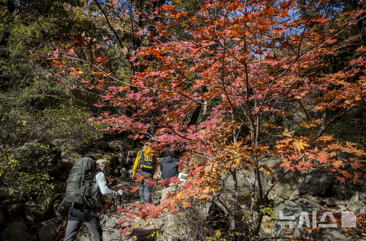 국립공원 탐방객 소비 창출 年3.5조…"인구감소 지역에 긍정 영향"