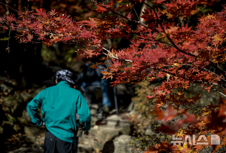 "아이고 내 무릎"…울긋불긋 단풍 산행길 '내리막' 조심