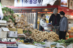 김장 배추·무 잔류농약 점검…농관원, 12일부터 안전성 조사