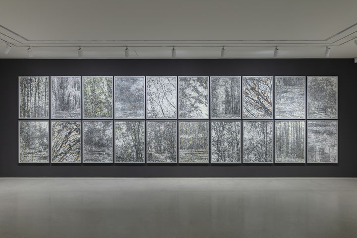 빛에 민감한 눈으로 그린 낮은 톤의 '드로잉 숲'…신경철 개인전