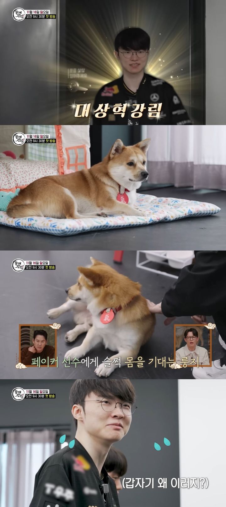 롤드컵 3연패 페이커도 강아지엔 속수무책…