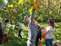 농촌체험마을에 청년 투입…농식품부, 관광 콘텐츠 개발사업 첫 시행