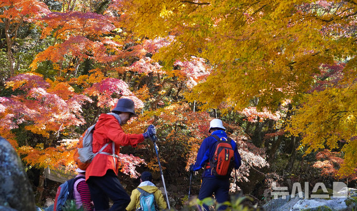 인천탐정사무소 서울탐정사무소 – 대구·경북 대체로 맑고 큰 일교차…아침 -2도·한낮 20도 