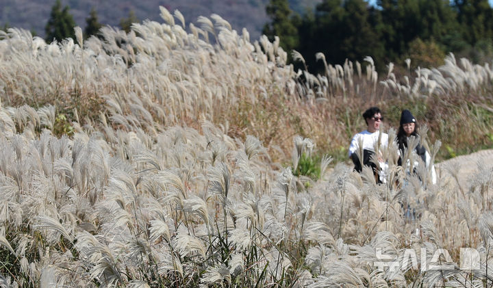 출장용접 – 제주 낮부터 기온 뚝, 강풍까지…”체감온도 더 낮아”  