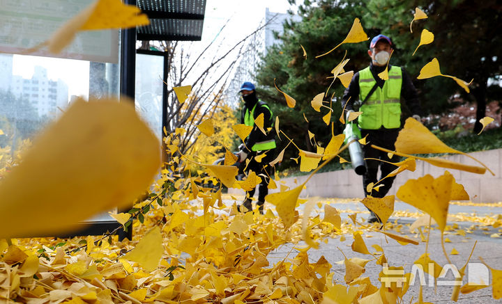 인천탐정사무소 서울탐정사무소 – 대구·경북, 맑고 큰 일교차…아침 영하 6도·한낮 9도 