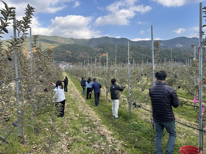 [거창소식]교육지원청, 청렴·나눔 농촌일손돕기 봉사 등  