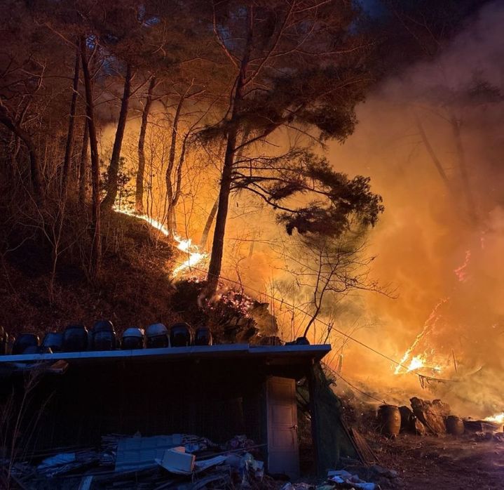 국가유산청, 강원 인제 산불에 상황반 가동 국가유산 피해 관리 총력