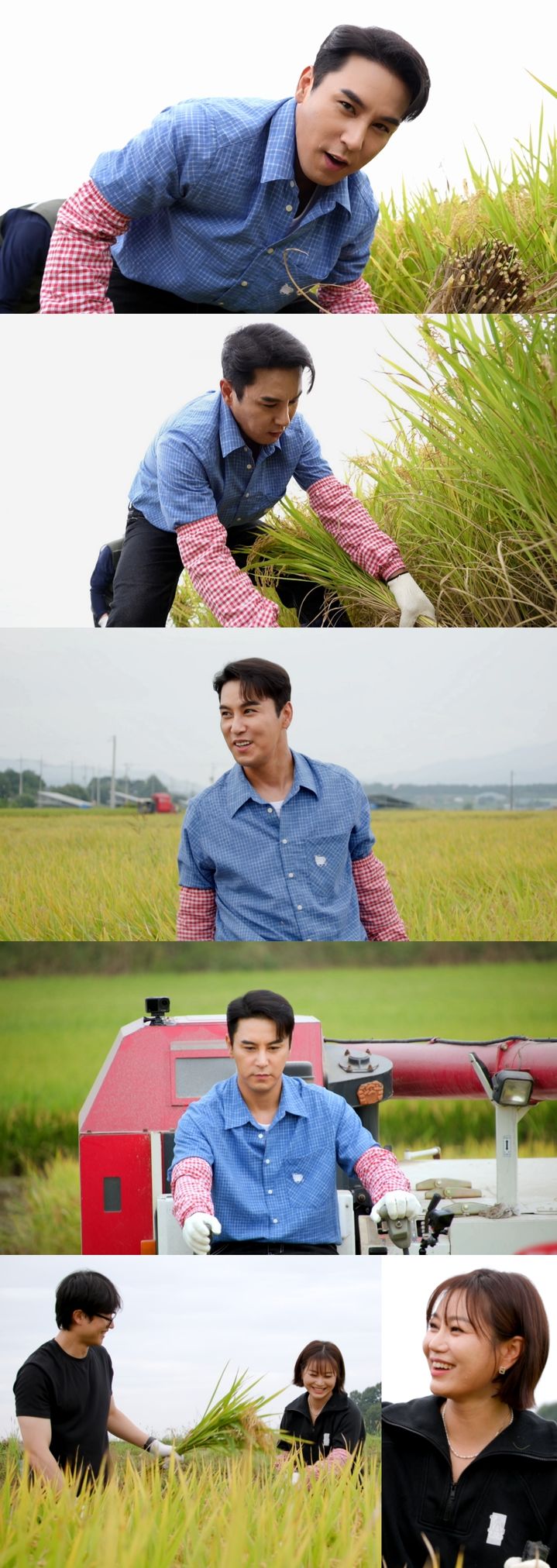 장민호, 능숙한 벼 베기에 농민회장 '깜짝'