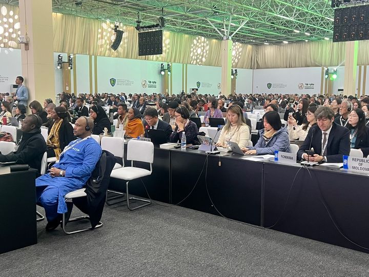 뱀장어 '멸종위기종' 지정 EU측 제안 부결…한숨 돌린 국내 양식업계