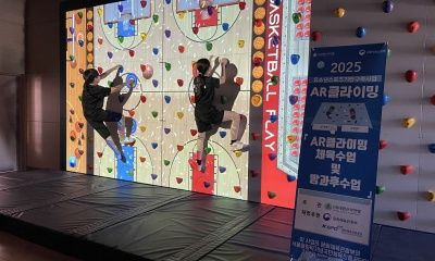 한국 스포츠계, 해외 진출과 국제 경기에서의 도전 지속