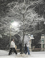 경기남부 곳곳 강풍에 비 또는 눈…"예상 적설 1~3㎝"