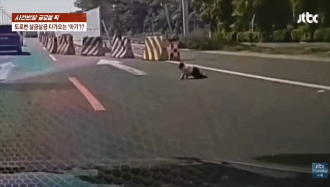 中고속도로서 맨발로 기어다닌 '아기' 포착