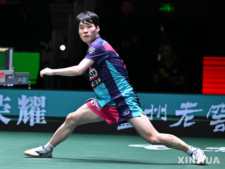 한국 남녀 탁구 스타들, 프로배구와 농구에서 연승 행진 이어가