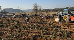농어촌公, '공동영농 확산' 본격화…교육~사후관리 종합지원