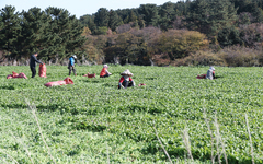 "제주 농업인 공익직불금 신청하세요"…31일 마감