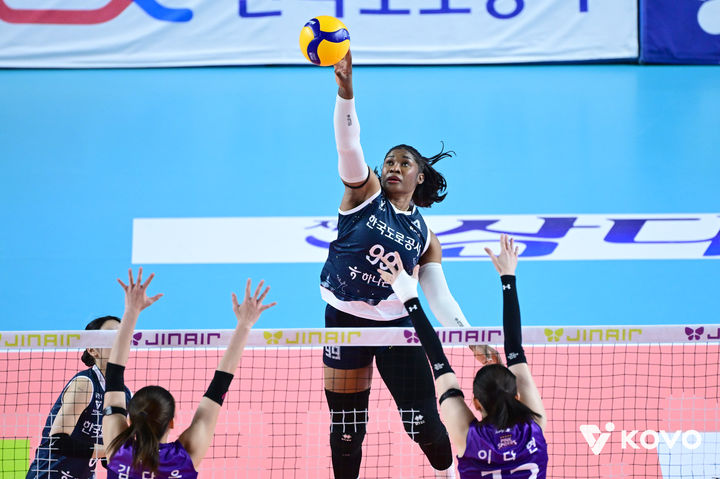 한국 여자 배구와 남자 배구의 흥미로운 대결, 프로농구와 축구의 새로운 도전