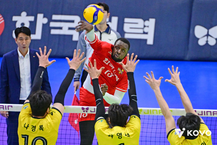 한국 스포츠, 배구와 탁구에서의 쾌거와 김하성의 일상 공개