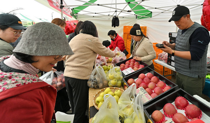 정선사과에 '스마트'를 심다…고랭지 농업 체질개선 착수