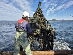 해양환경공단, 지난해 전국 주요 항만 해양침적폐기물 7300t 수거