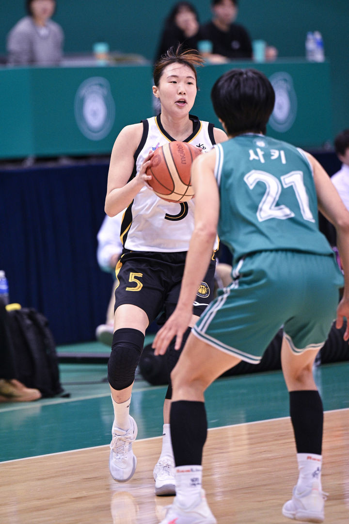 여자농구와 남자배구의 연승, 한국영의 대구FC 합류와 체코 축구팀 감독 선임
