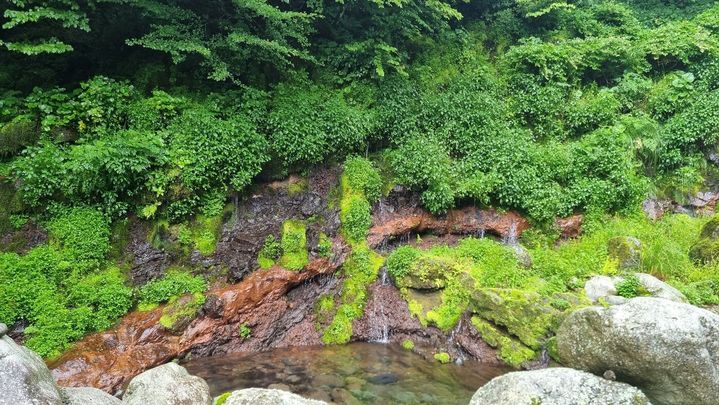 '한라산 어리목계곡 화산암층·용천수' 천연기념물 된다