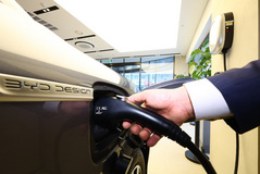 내연기관 넘어 전기차 직행…신흥국, 자국 브랜드 키운다