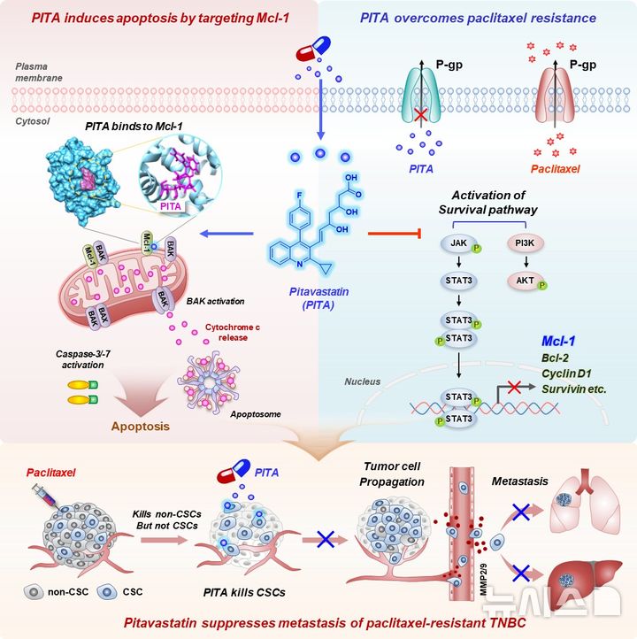 까다로운 삼중음성 유방암…'이 치료제' 썼더니 효과있어