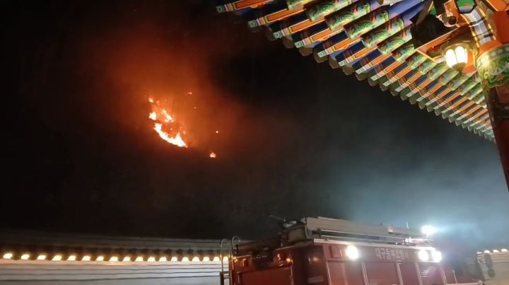 대구 동구 진인동 야산 불…10분 만에 주불 잡혀