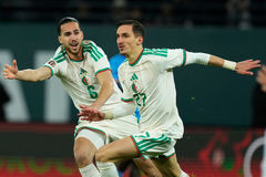 알제리·코트디부아르, 아프리카 네이션스컵 8강 진출로 대진 완성