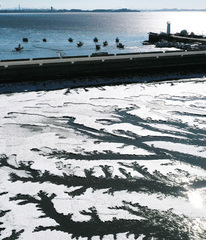 수도권 최대 5㎝ 적설…일부 지역 영하 15도 강추위[오늘날씨]