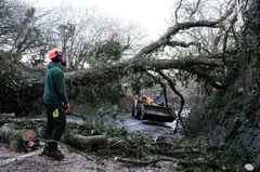 폭풍 '고레티' 유럽 강타…1명 사망·10만 가구 정전