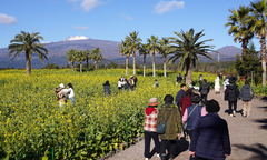 맑고 추운 날씨 이어져…주 중반 중부·전라 비 소식[다음주 날씨]