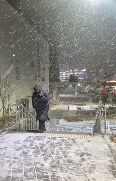 무안 대설경보…광주·전남 강풍·영하권 기온 '강추위'