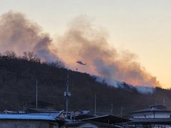 '재발화 수준' 의성산불, 오전에 진화…잔불정리·뒷불감시