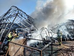 고양 비닐하우스 화재, 사상없어…'검은연기' 신고 145건