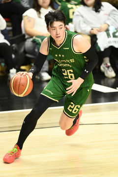 프로농구 DB, 정관장 꺾고 7연승·2위 도약…KT는 현대모비스 제압