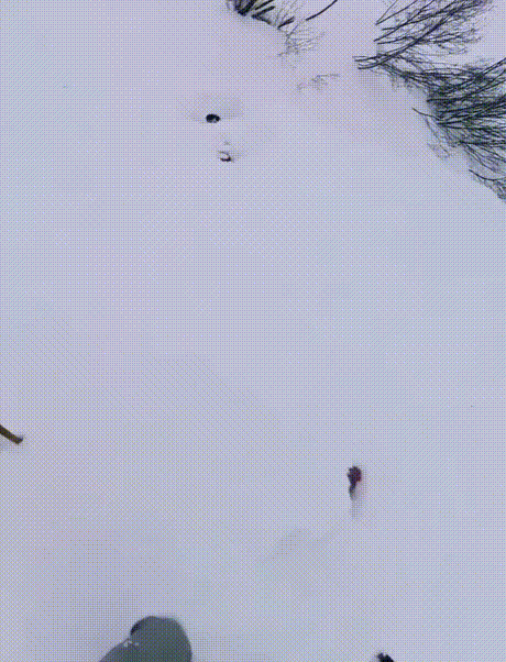 눈더미에 튀어나온 '팔 하나'…매몰 스키어 극적 구조